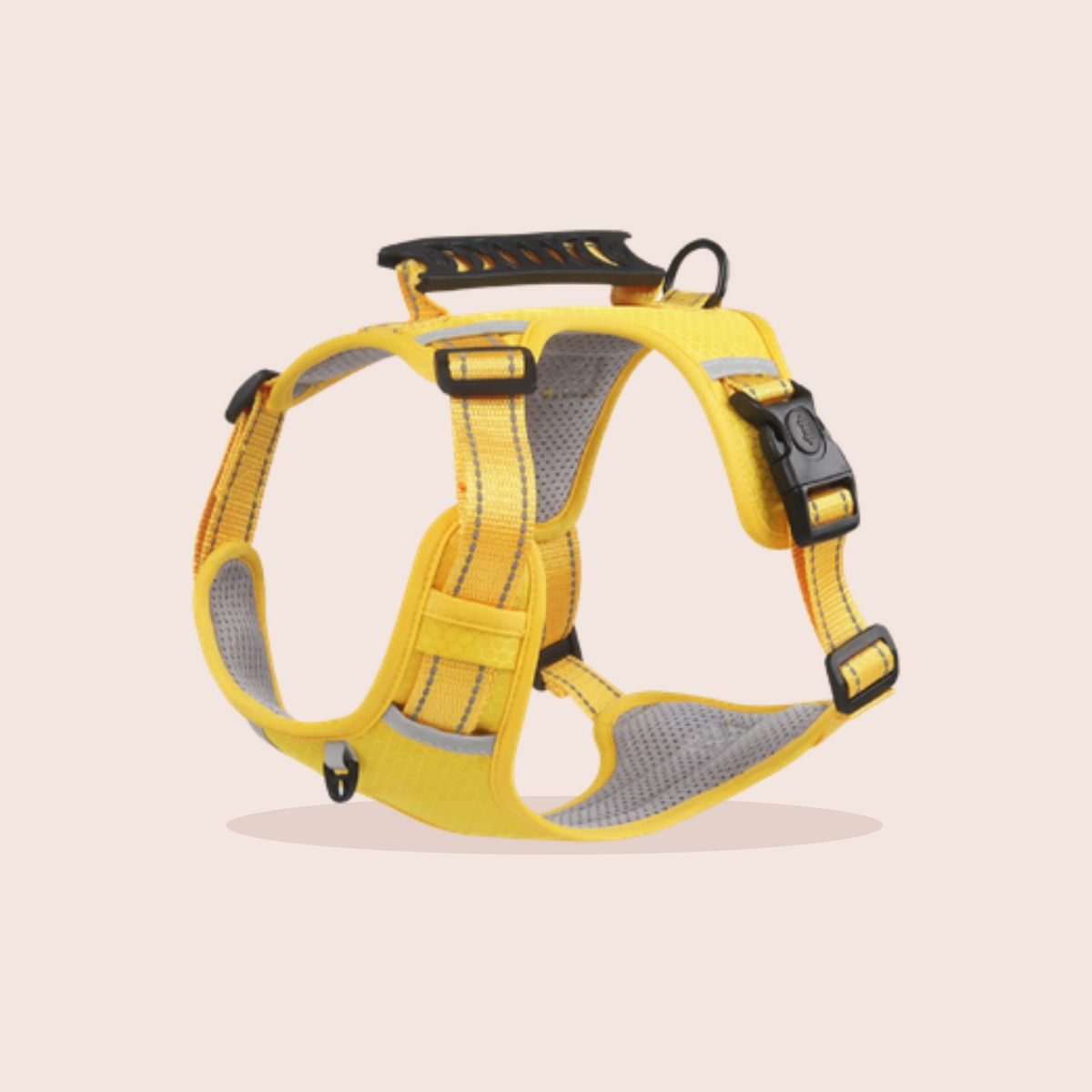 Harnais anti-traction pour chien