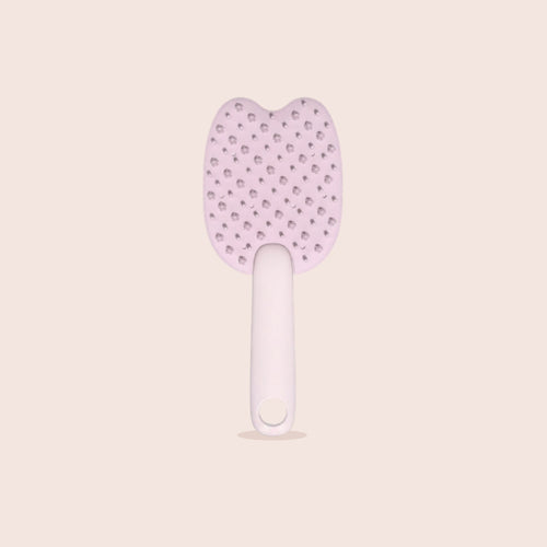 Brosse anti-poils pour chien et chat