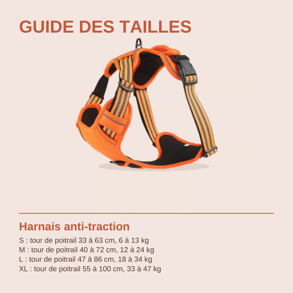 Guide des tailles du harnais anti-traction