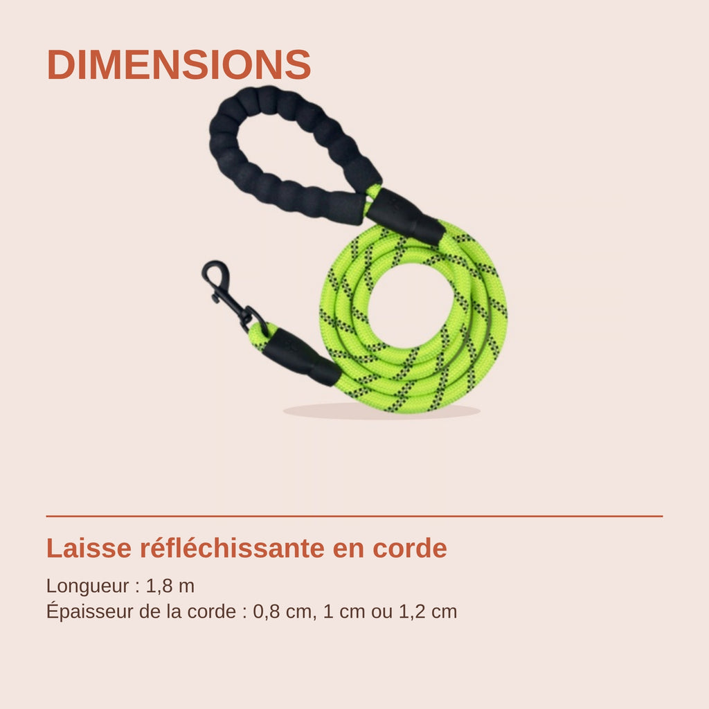Dimensions de la laisse en corde