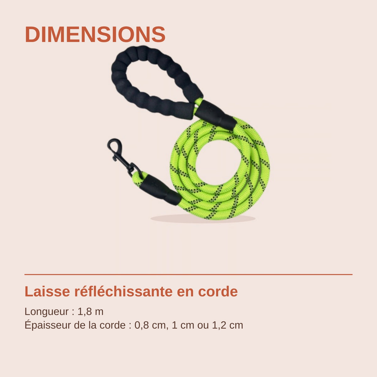 Dimensions de la laisse en corde