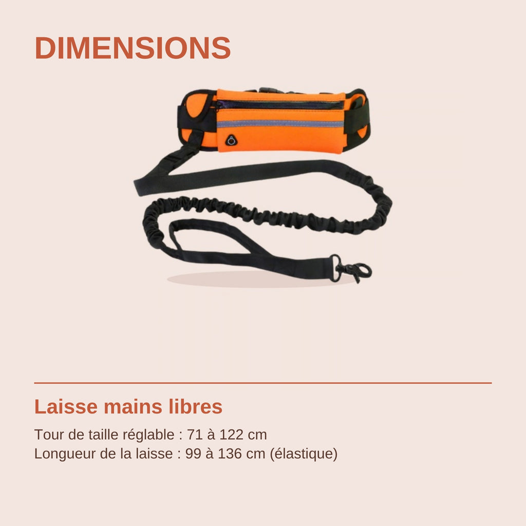 Dimensions de la laisse mains libres