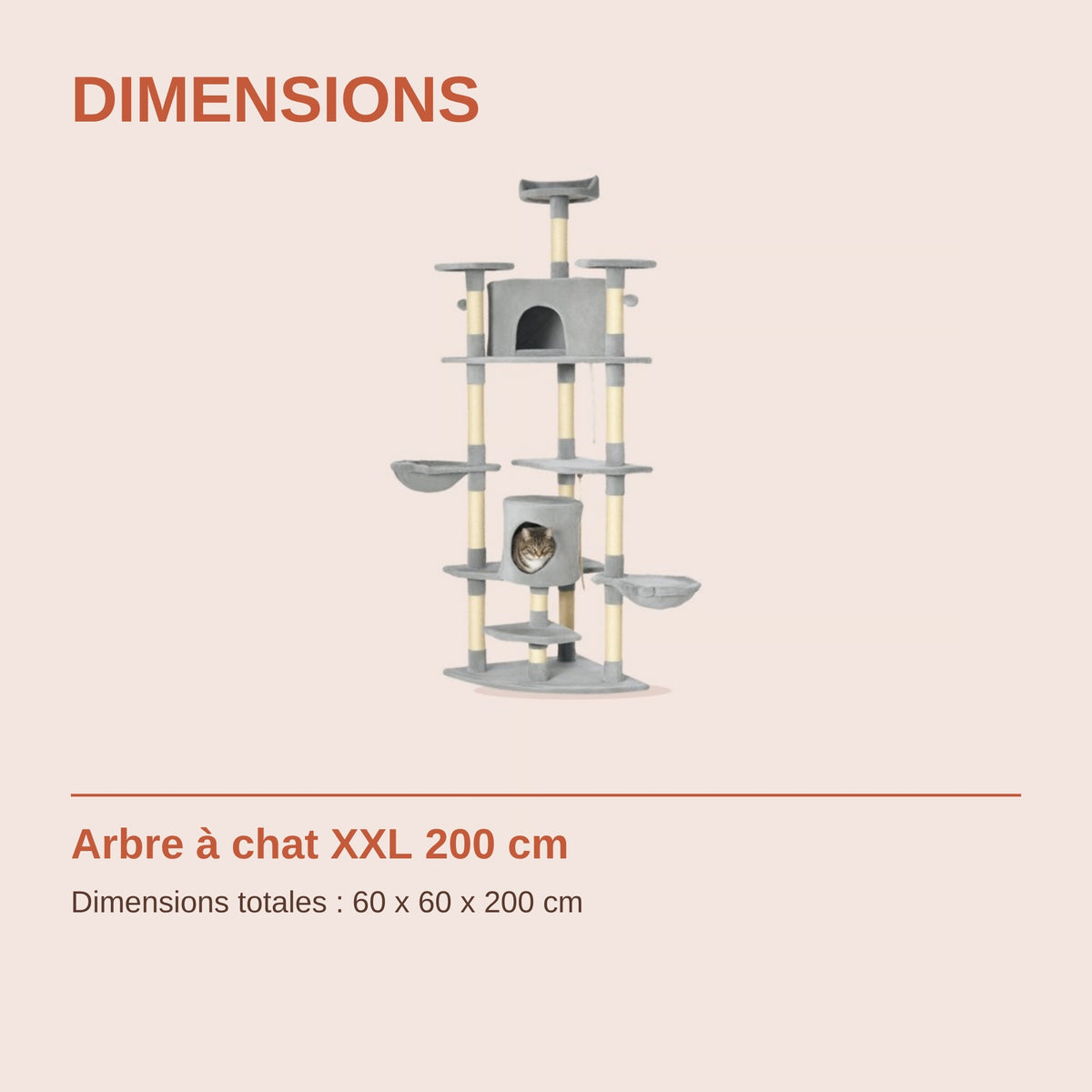 Dimensions de l'arbre à chat XXL 200 cm