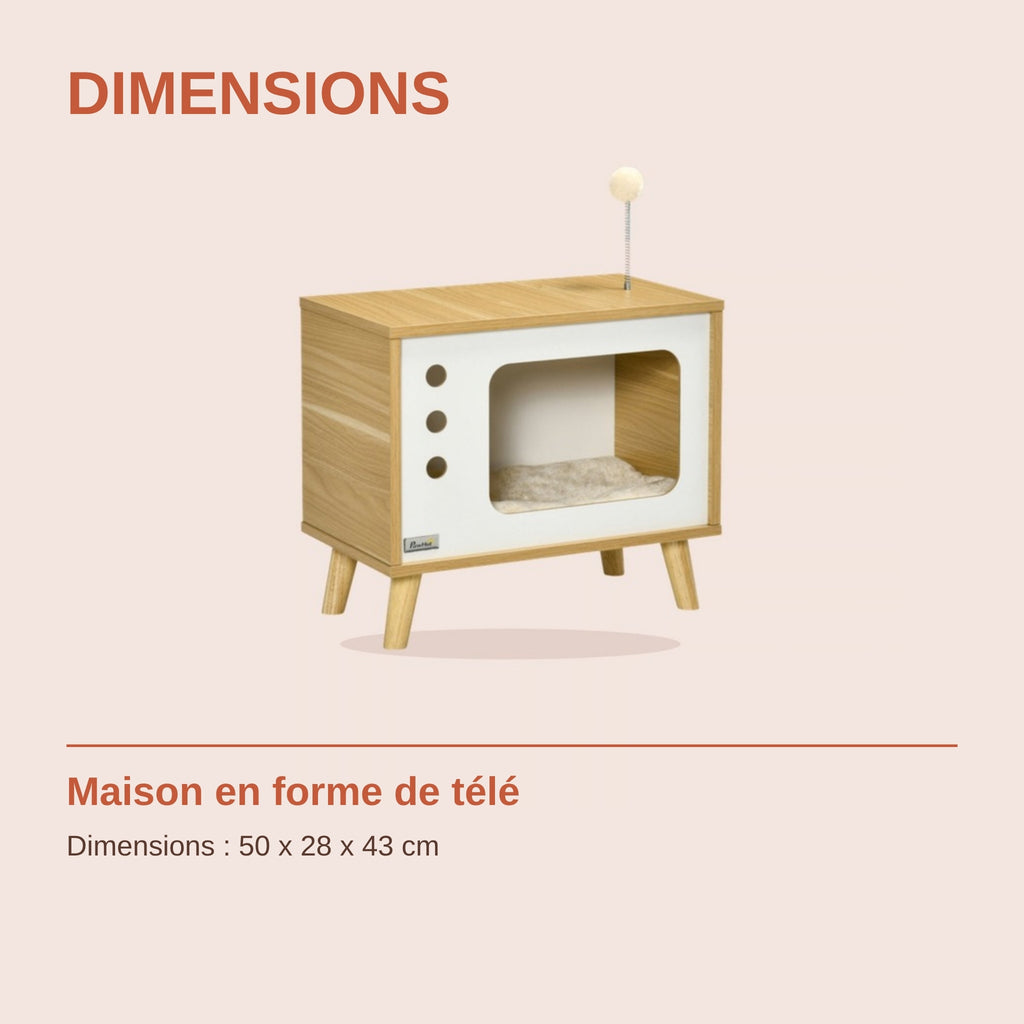 Dimensions de la maison en forme de télé