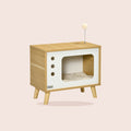 Maison en forme de télé pour chat