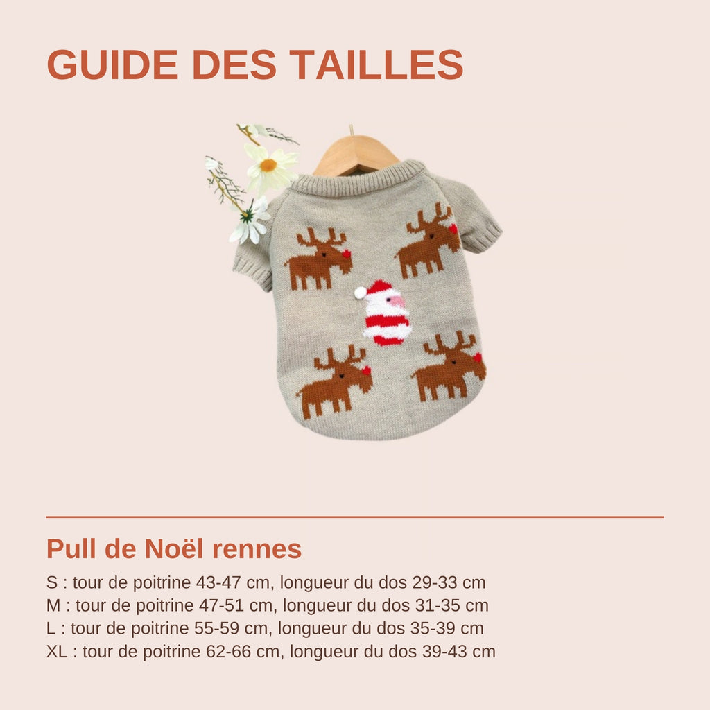 Guide des tailles du pull de Noël