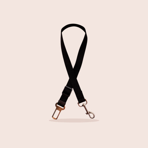 Ceinture de sécurité auto, noir