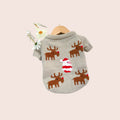 Pull de Noël rennes pour chien