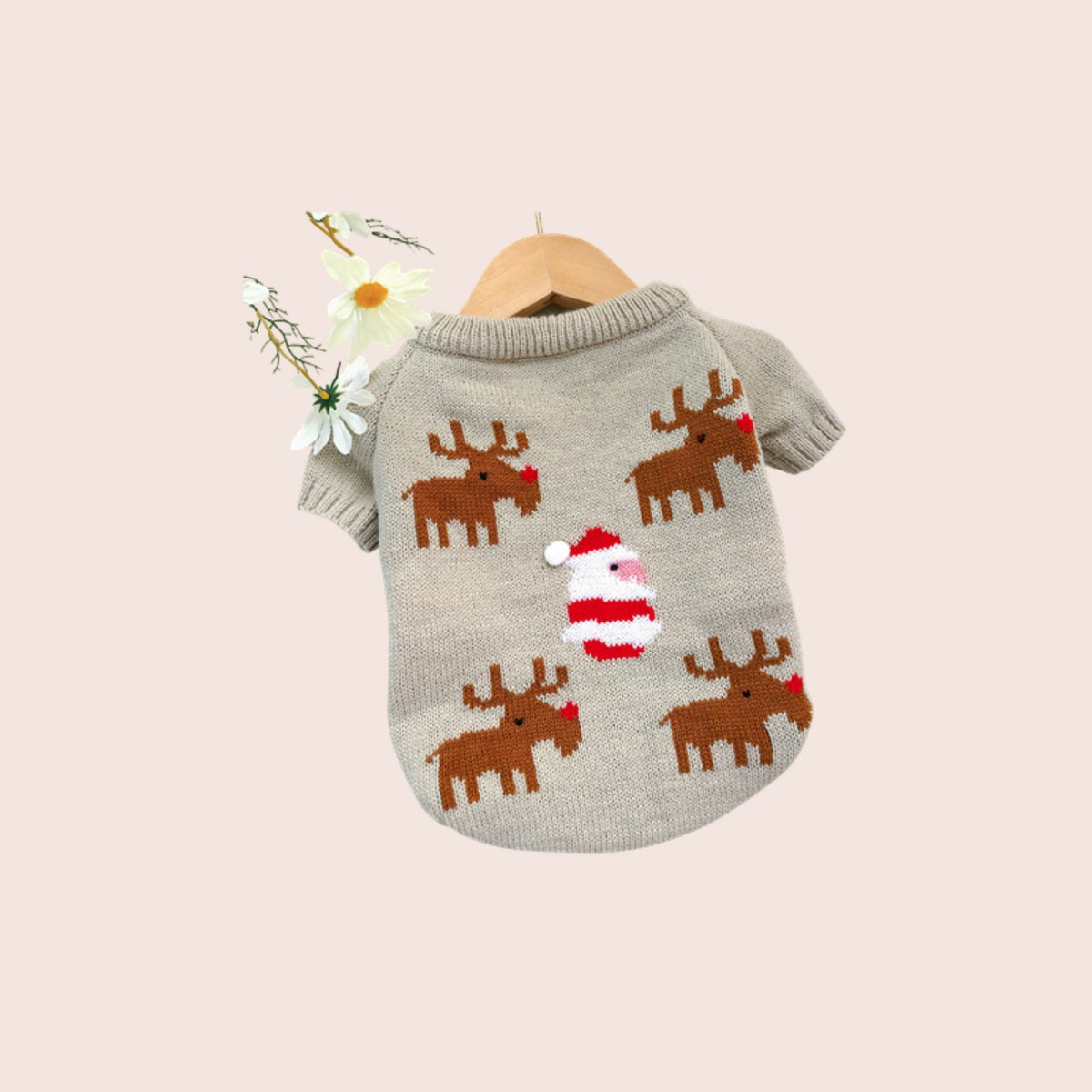 Pull de Noël rennes pour chien