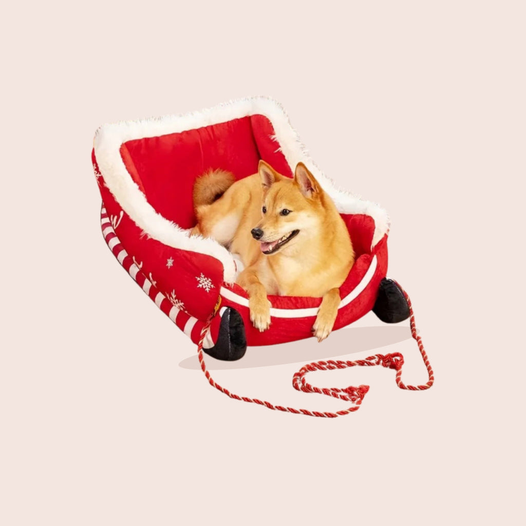 Panier traîneau de Noël pour chien