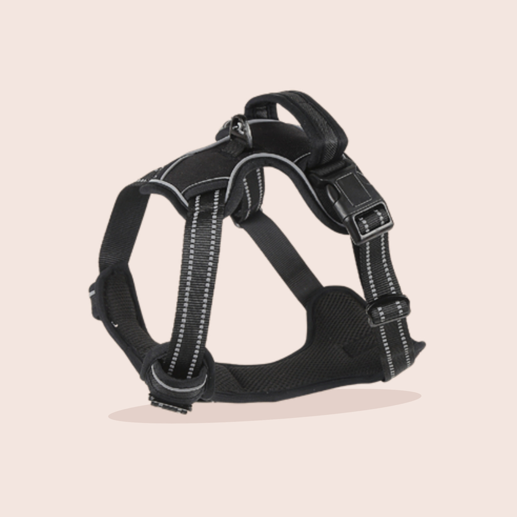 Harnais anti-traction pour chien