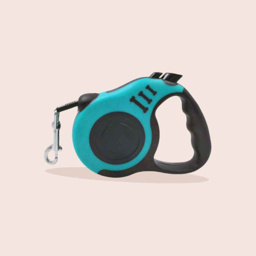 Laisse rétractable automatique pour chien