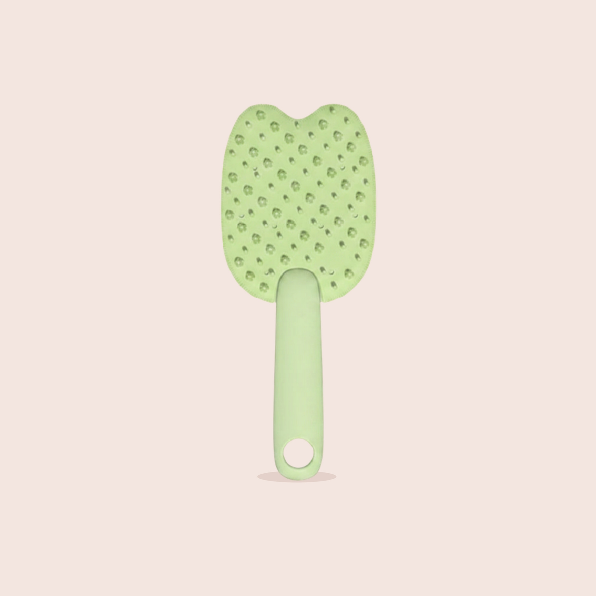 Brosse anti-poils pour chien et chat