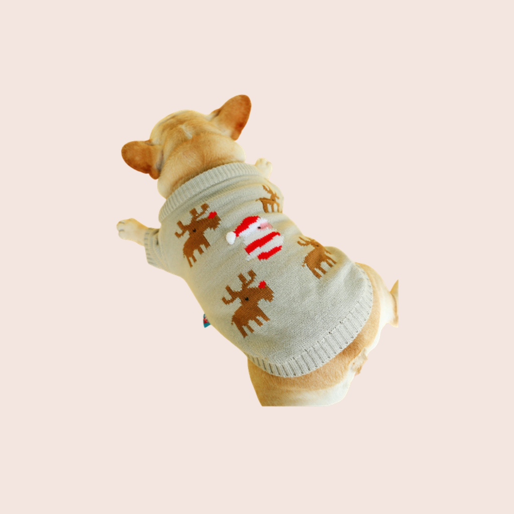 Pull de Noël rennes pour chien