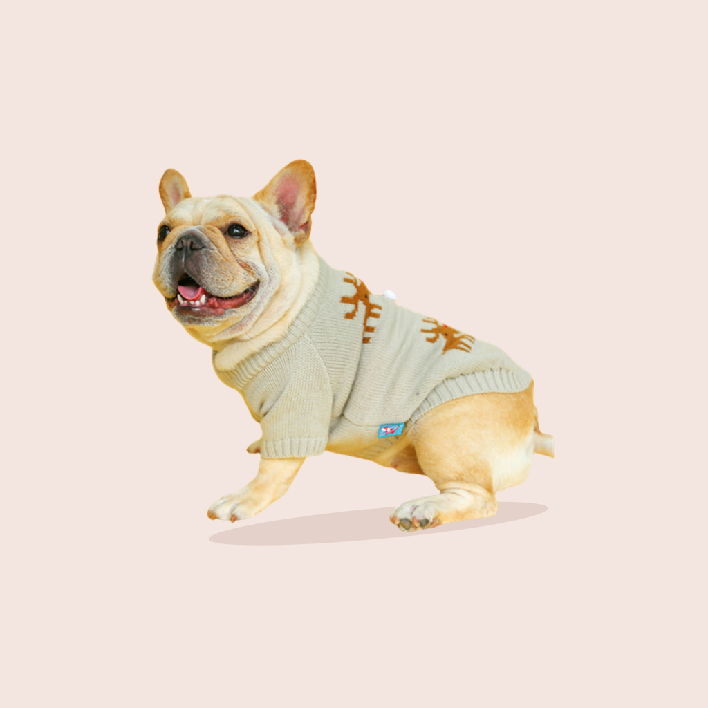 Pull de Noël rennes pour chien