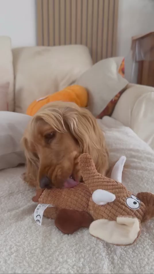 Peluche couinante à cacher les friandises pour chien